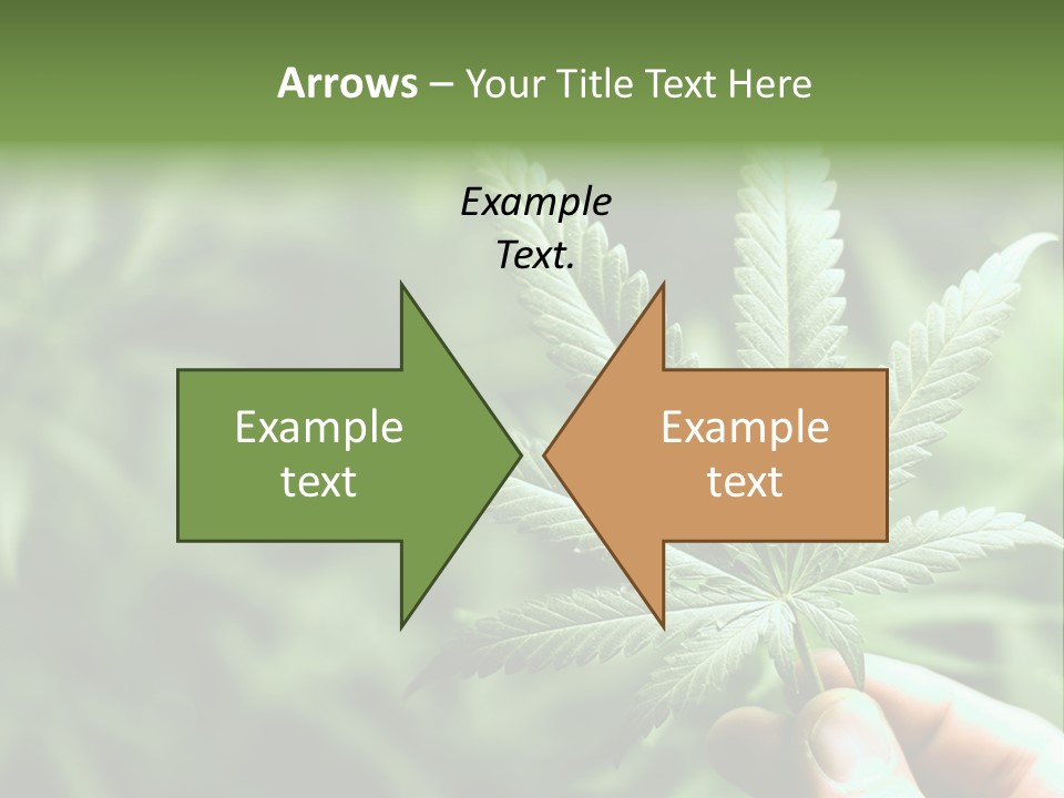 Herb Relax Sun PowerPoint Template