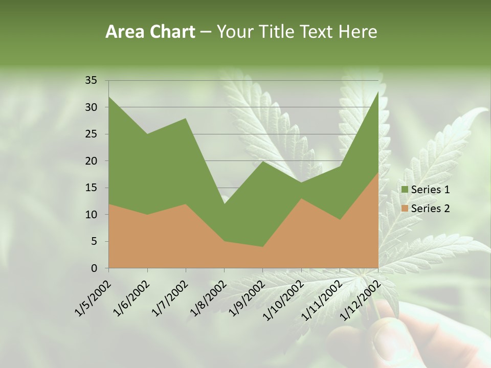 Herb Relax Sun PowerPoint Template