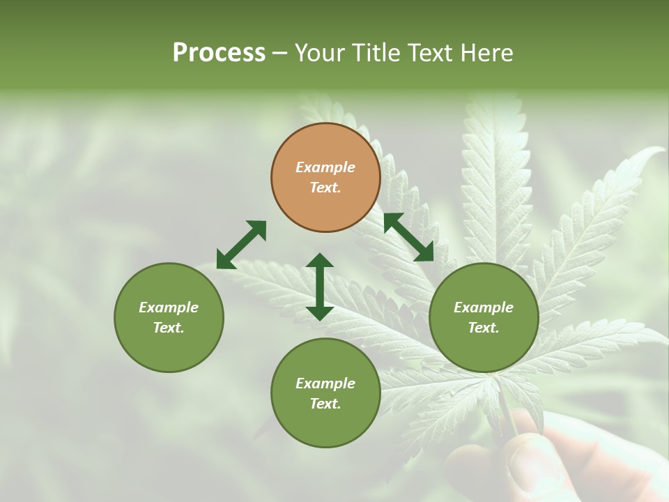 Herb Relax Sun PowerPoint Template