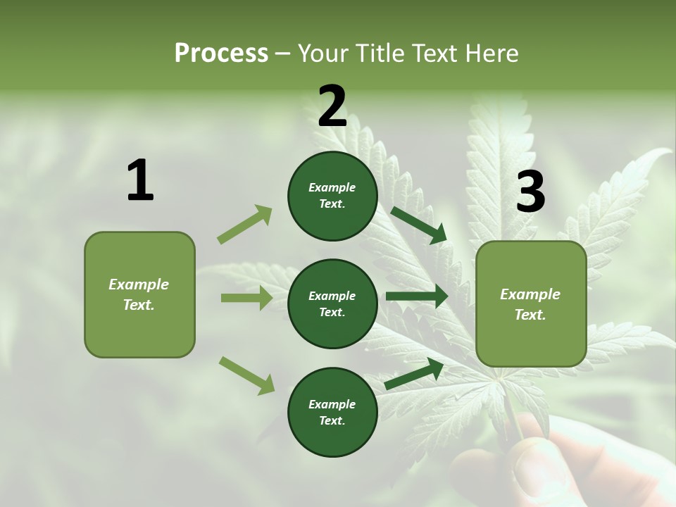 Herb Relax Sun PowerPoint Template