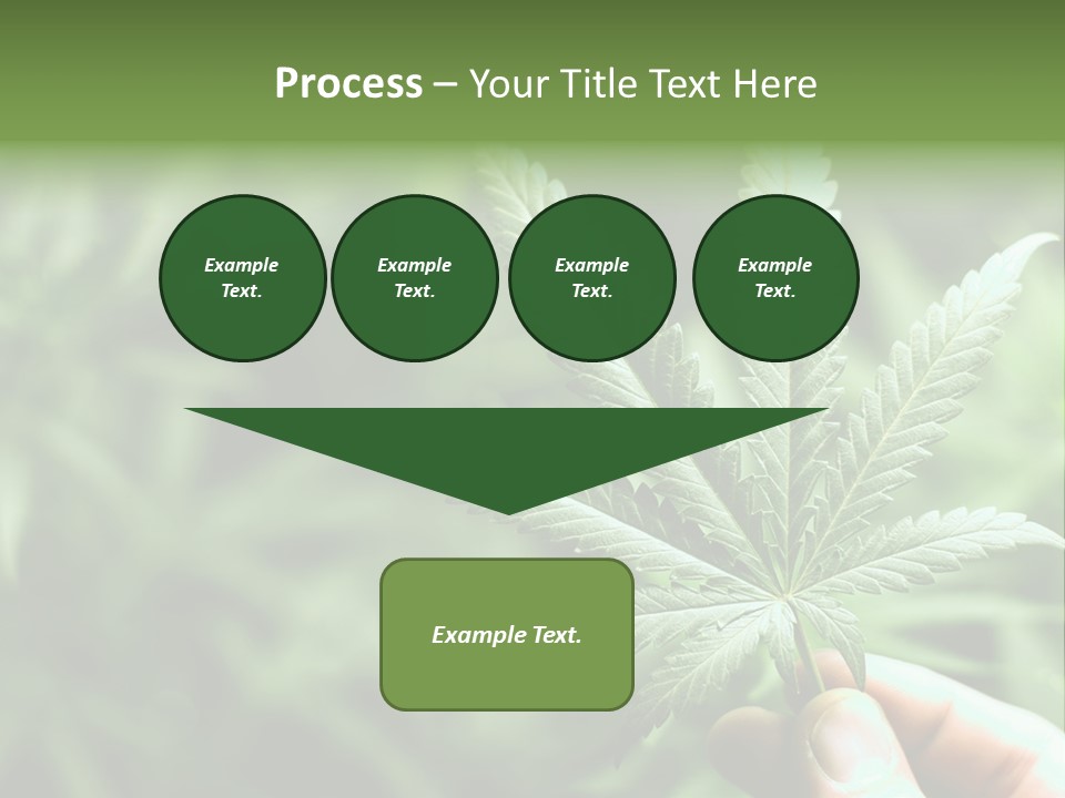 Herb Relax Sun PowerPoint Template