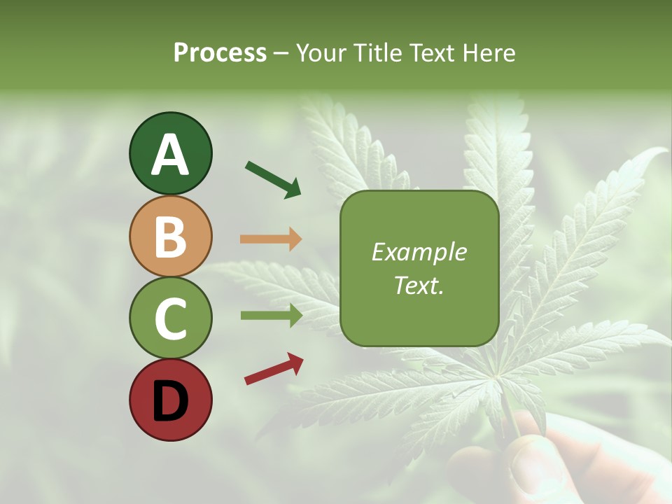 Herb Relax Sun PowerPoint Template