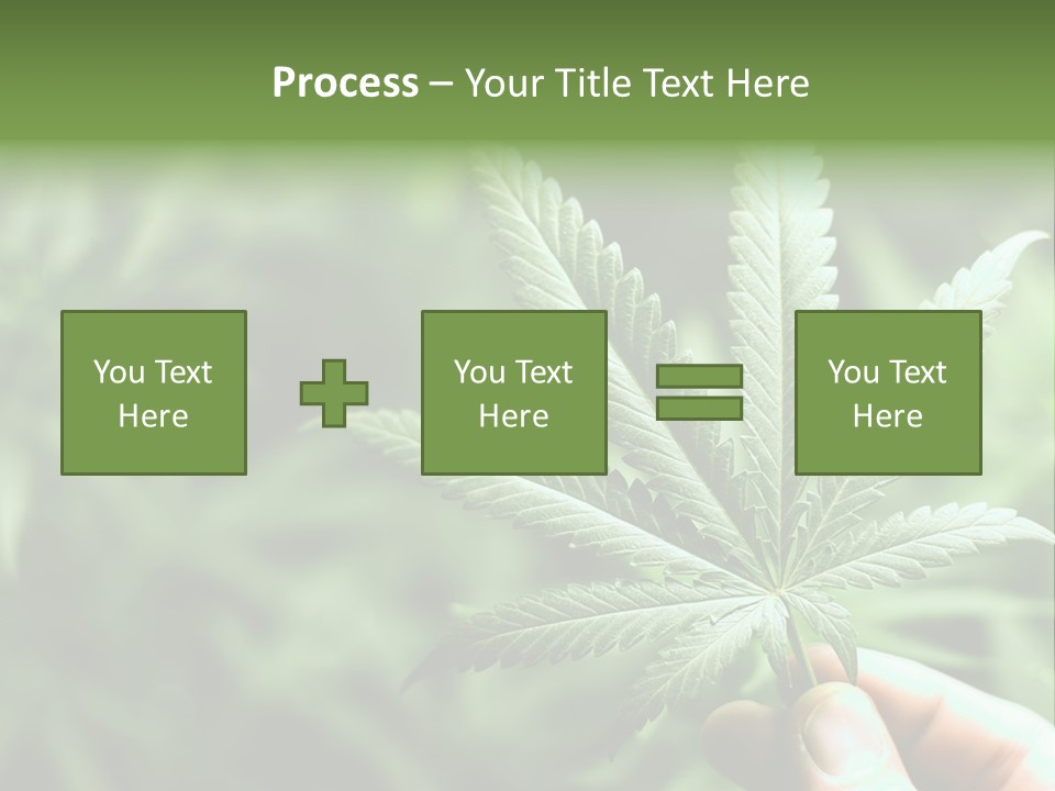 Herb Relax Sun PowerPoint Template