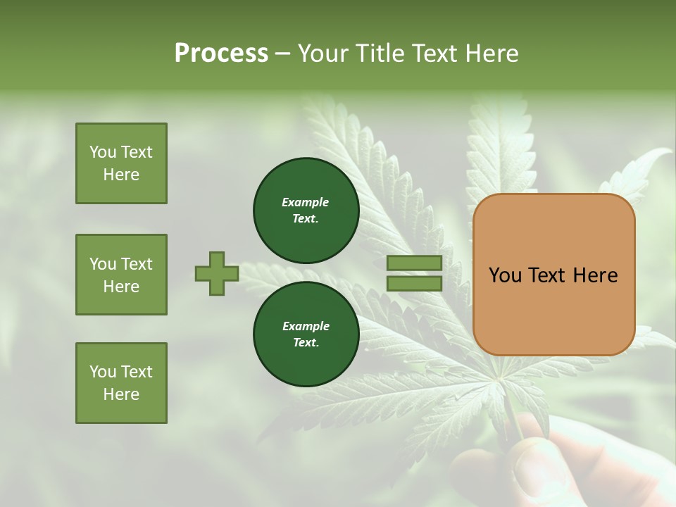 Herb Relax Sun PowerPoint Template