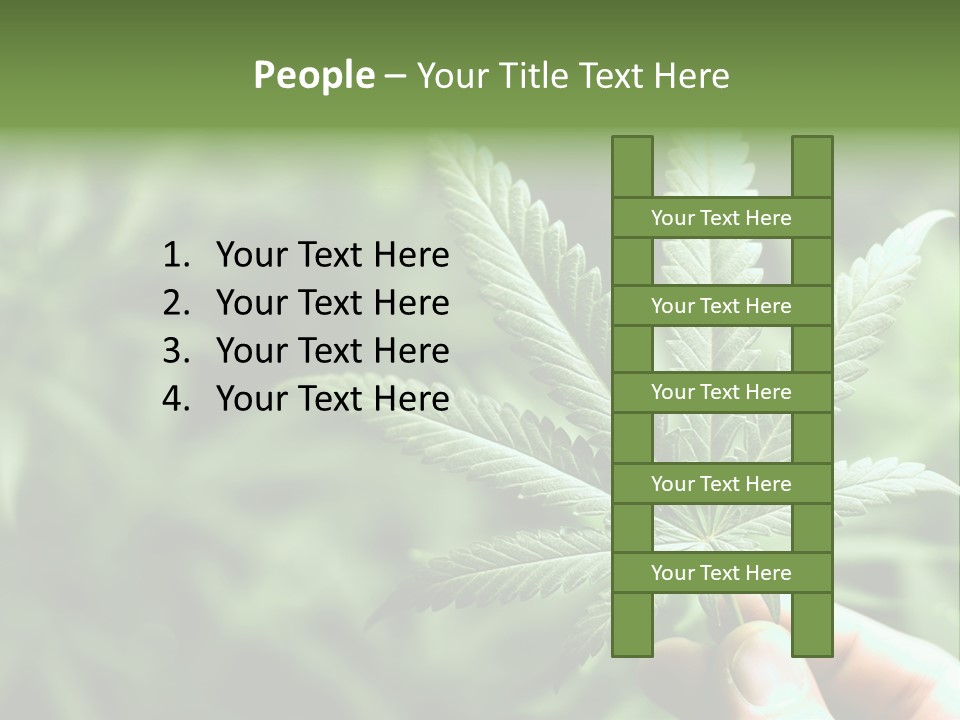 Herb Relax Sun PowerPoint Template