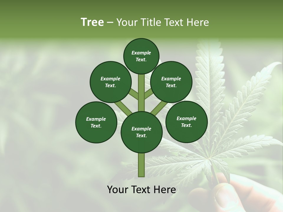 Herb Relax Sun PowerPoint Template