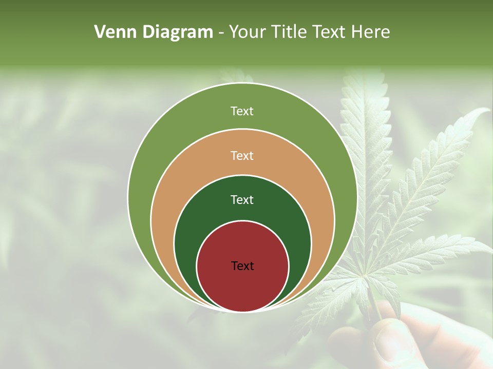 Herb Relax Sun PowerPoint Template