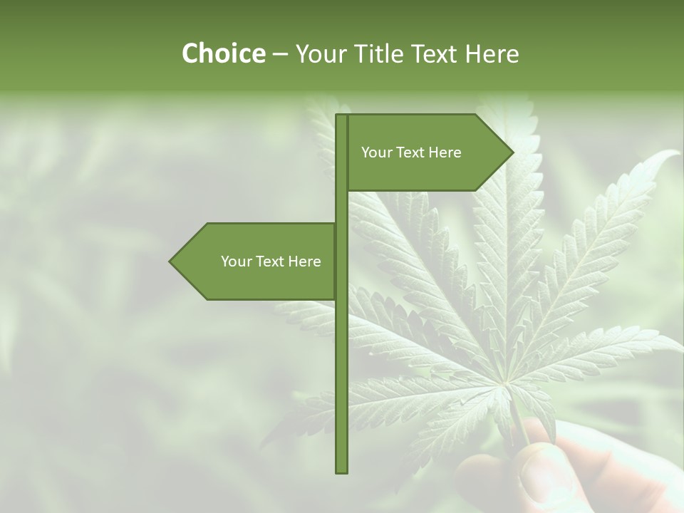 Herb Relax Sun PowerPoint Template