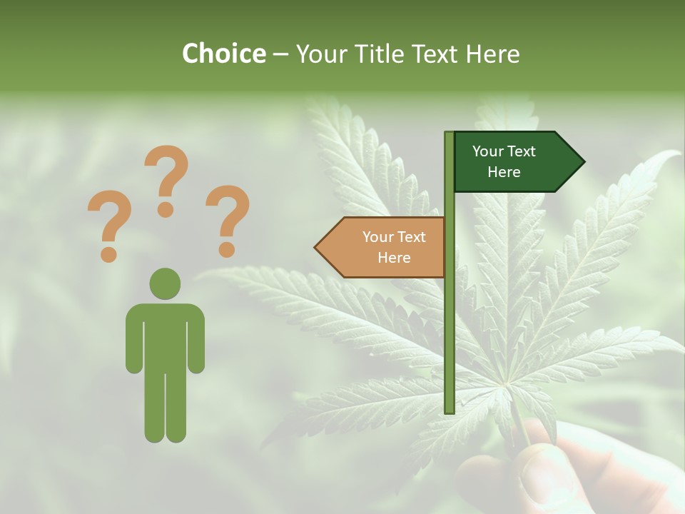 Herb Relax Sun PowerPoint Template