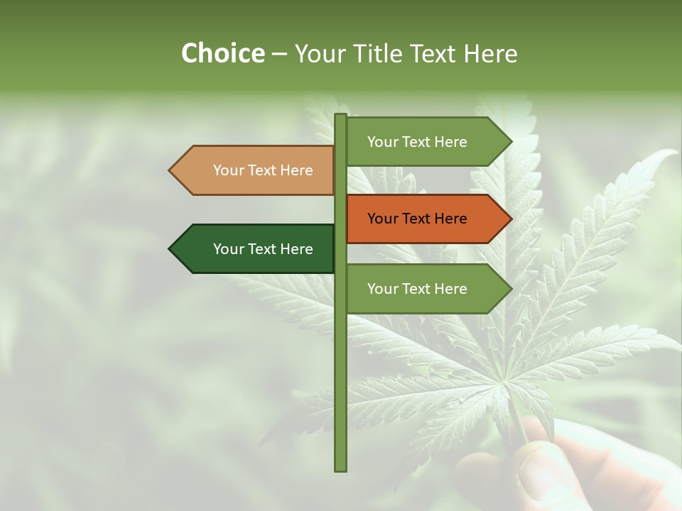 Herb Relax Sun PowerPoint Template