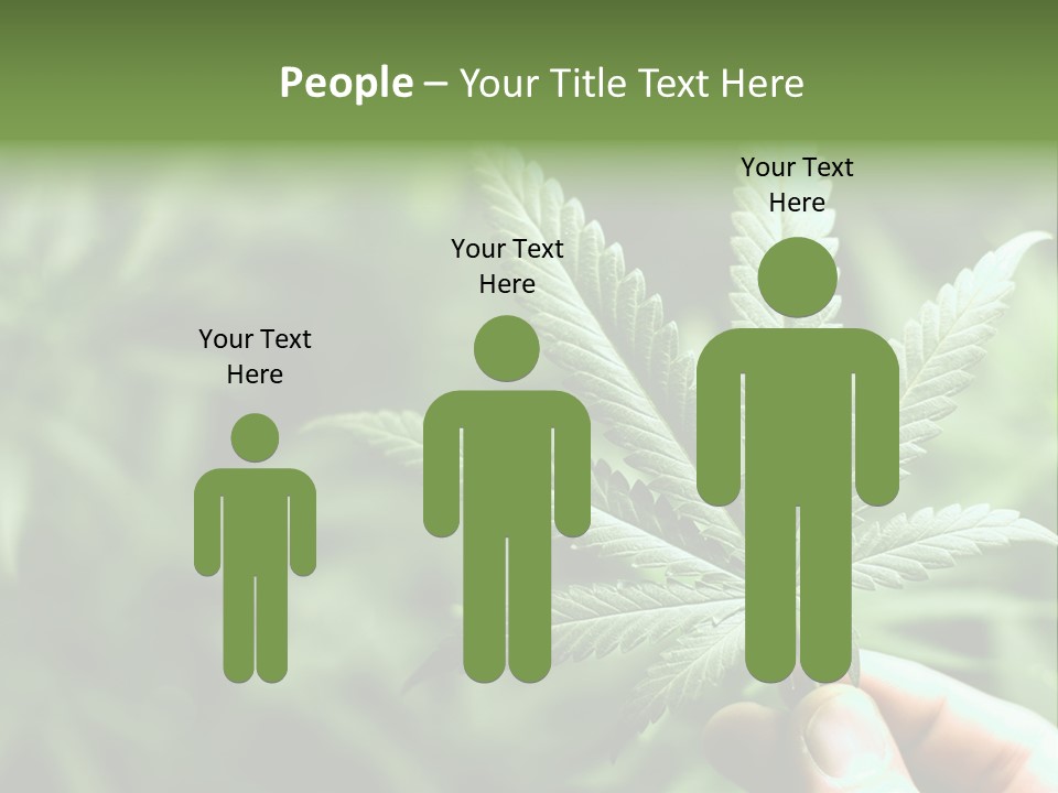 Herb Relax Sun PowerPoint Template