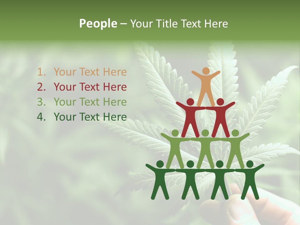 Herb Relax Sun PowerPoint Template