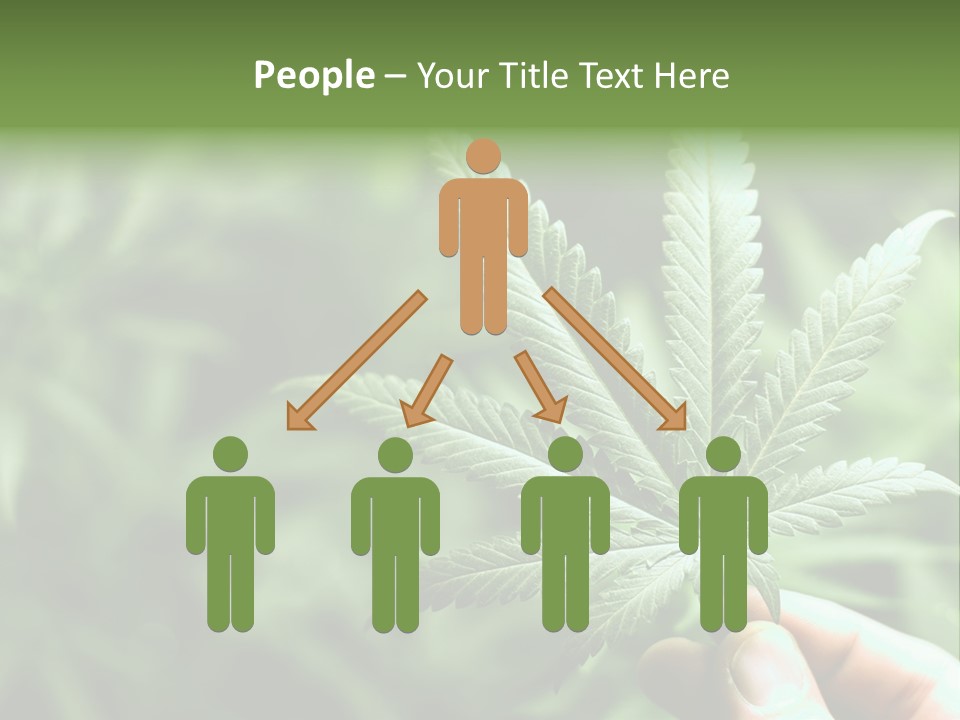 Herb Relax Sun PowerPoint Template