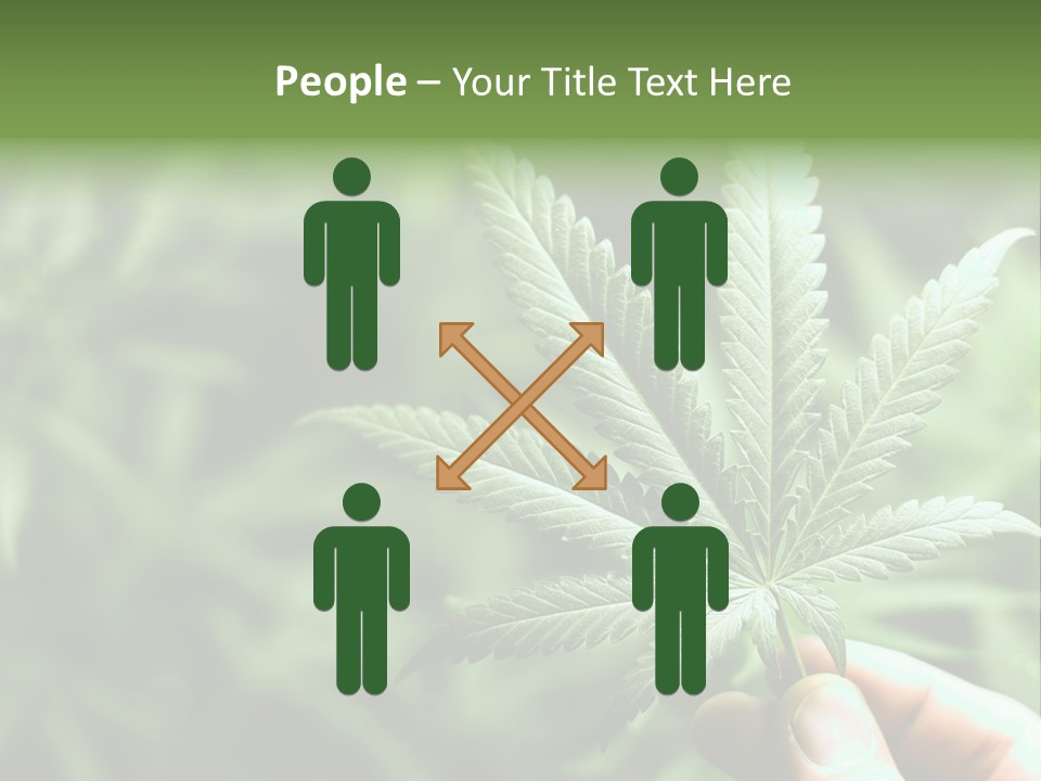 Herb Relax Sun PowerPoint Template