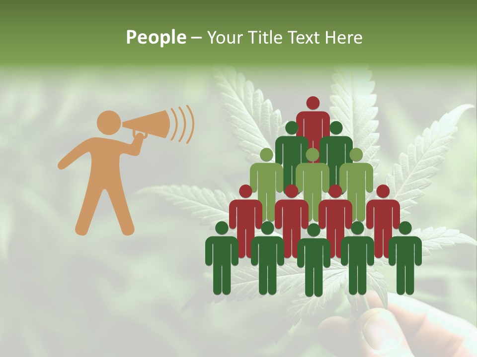 Herb Relax Sun PowerPoint Template