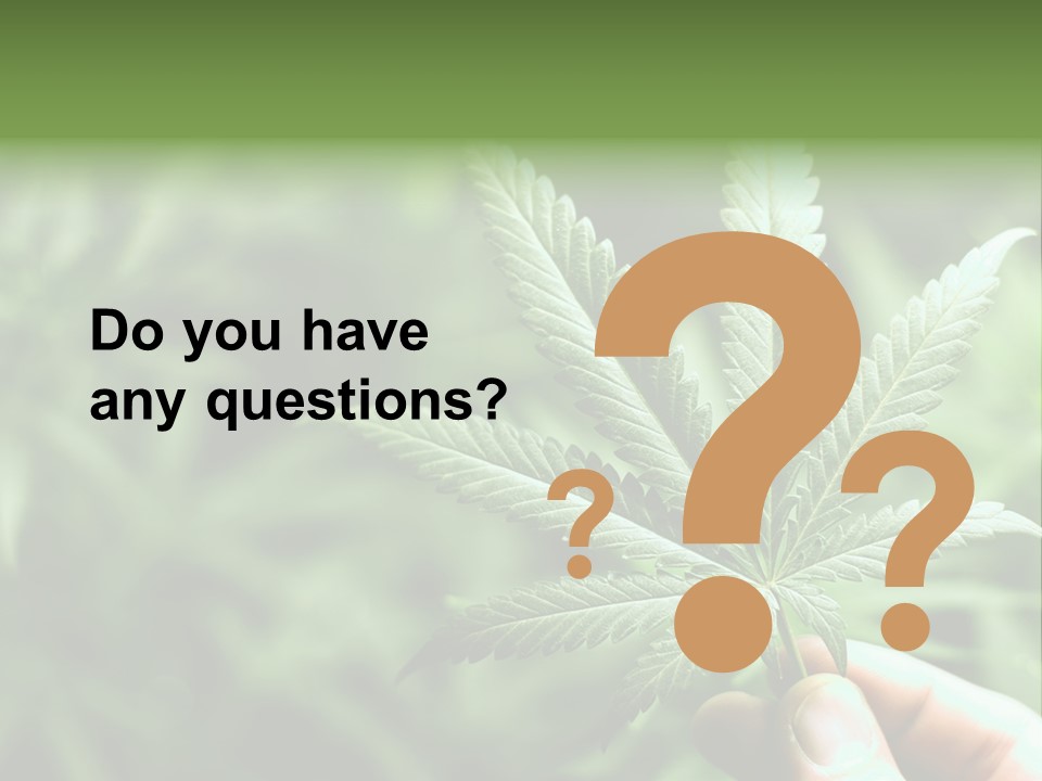 Herb Relax Sun PowerPoint Template