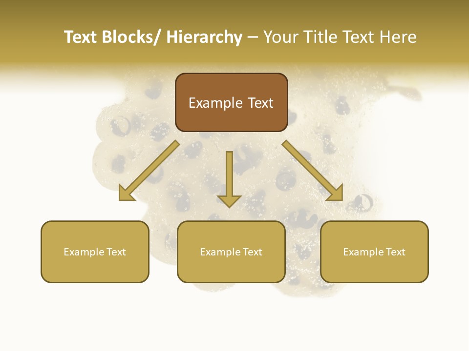 Young Fertilization Animal Themes PowerPoint Template