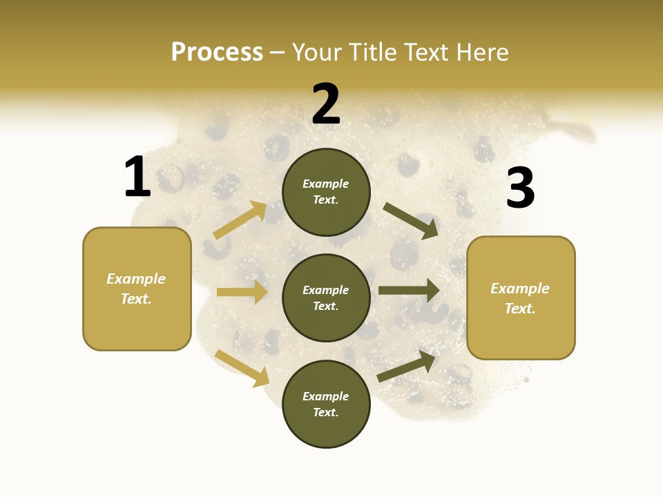 Young Fertilization Animal Themes PowerPoint Template