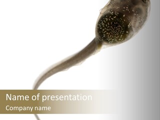 A Close Up Of A Spoon With Food On It PowerPoint Template