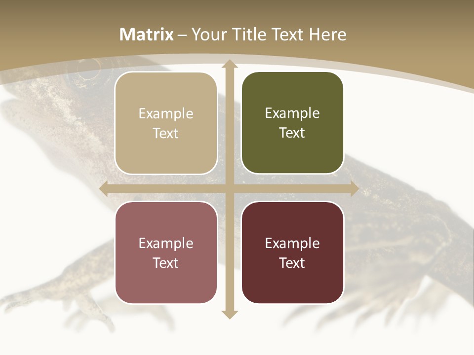 Creature White Background Amphibian PowerPoint Template