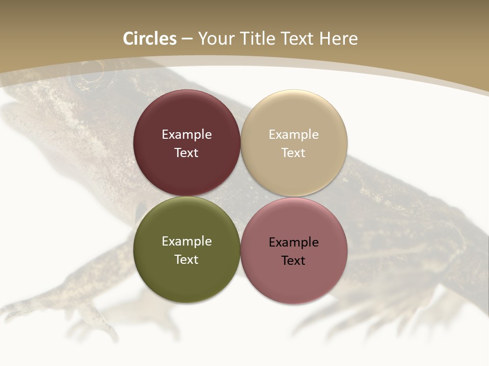Creature White Background Amphibian PowerPoint Template