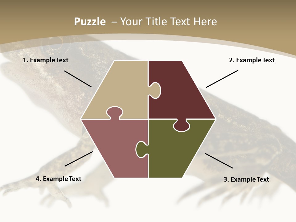 Creature White Background Amphibian PowerPoint Template