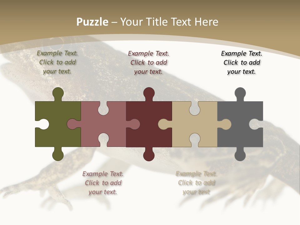 Creature White Background Amphibian PowerPoint Template