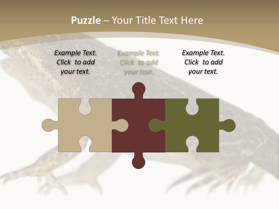 Creature White Background Amphibian PowerPoint Template