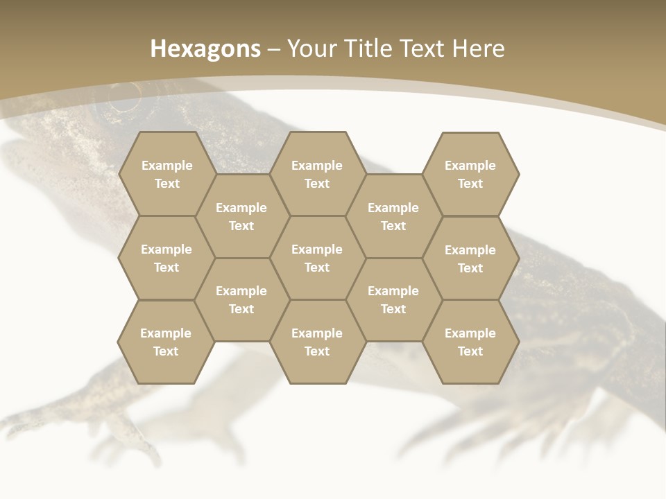 Creature White Background Amphibian PowerPoint Template