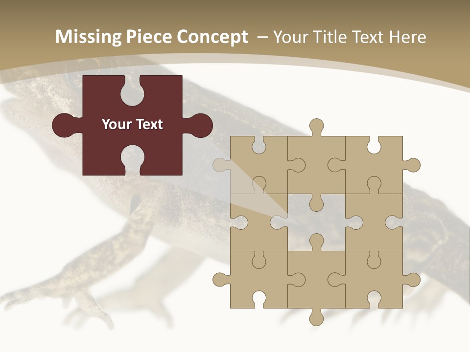 Creature White Background Amphibian PowerPoint Template