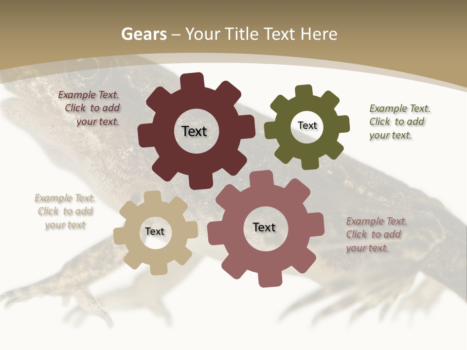 Creature White Background Amphibian PowerPoint Template