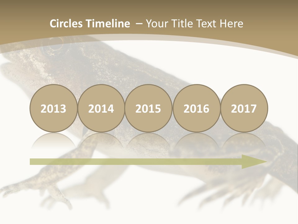 Creature White Background Amphibian PowerPoint Template