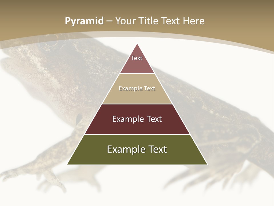 Creature White Background Amphibian PowerPoint Template