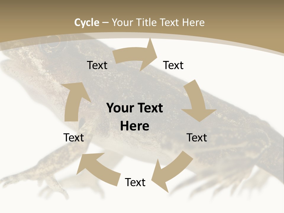 Creature White Background Amphibian PowerPoint Template