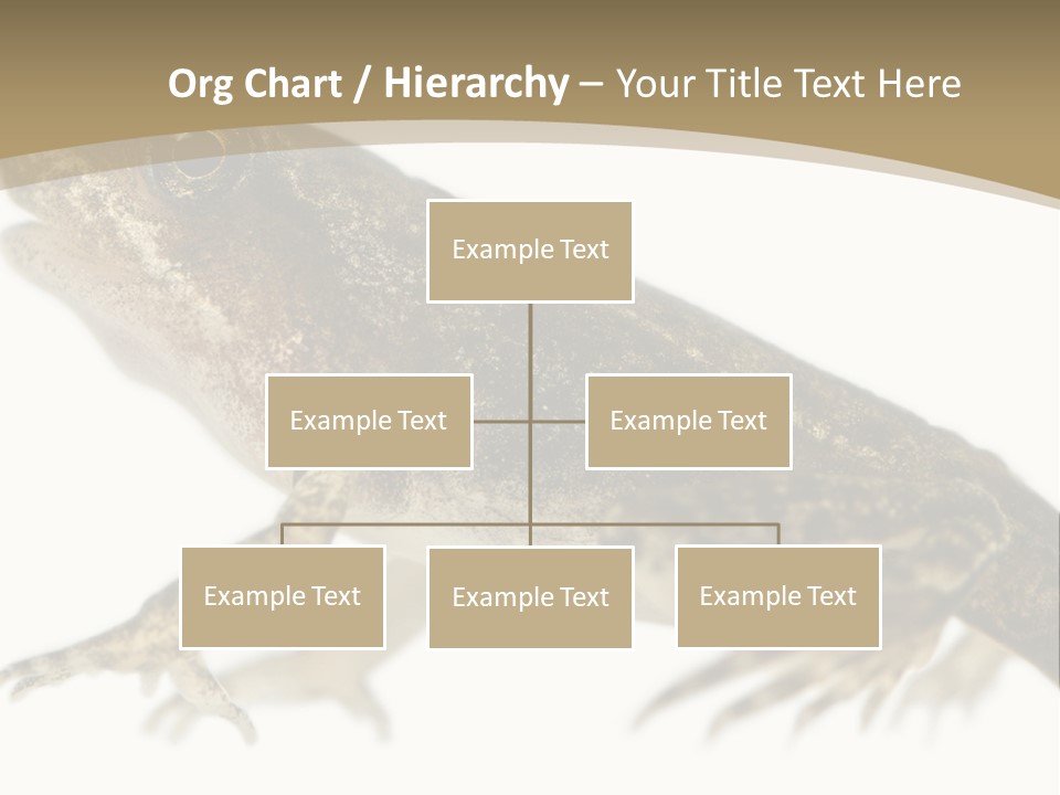 Creature White Background Amphibian PowerPoint Template