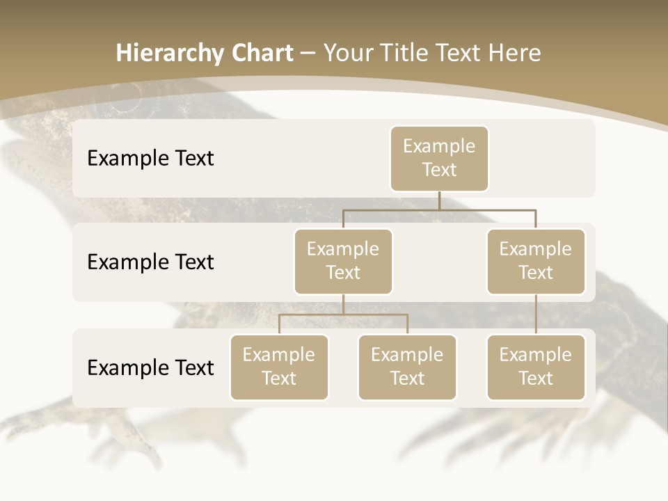 Creature White Background Amphibian PowerPoint Template