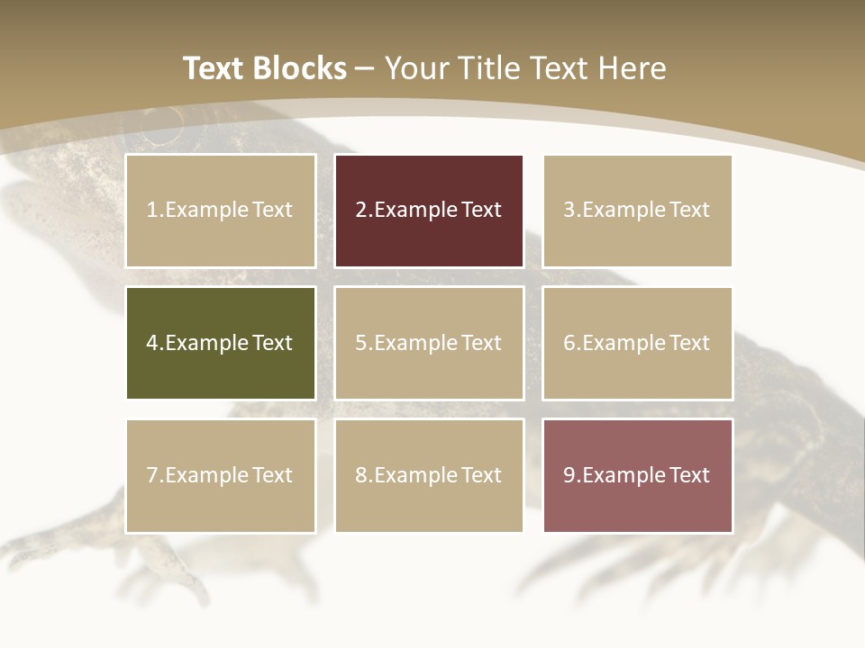 Creature White Background Amphibian PowerPoint Template