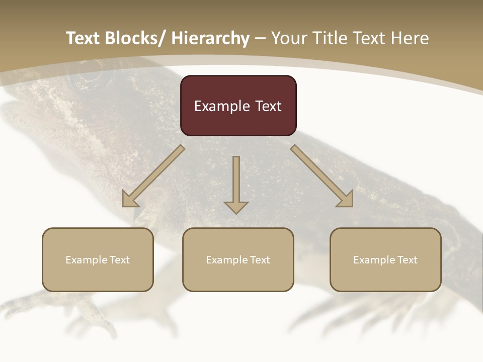 Creature White Background Amphibian PowerPoint Template