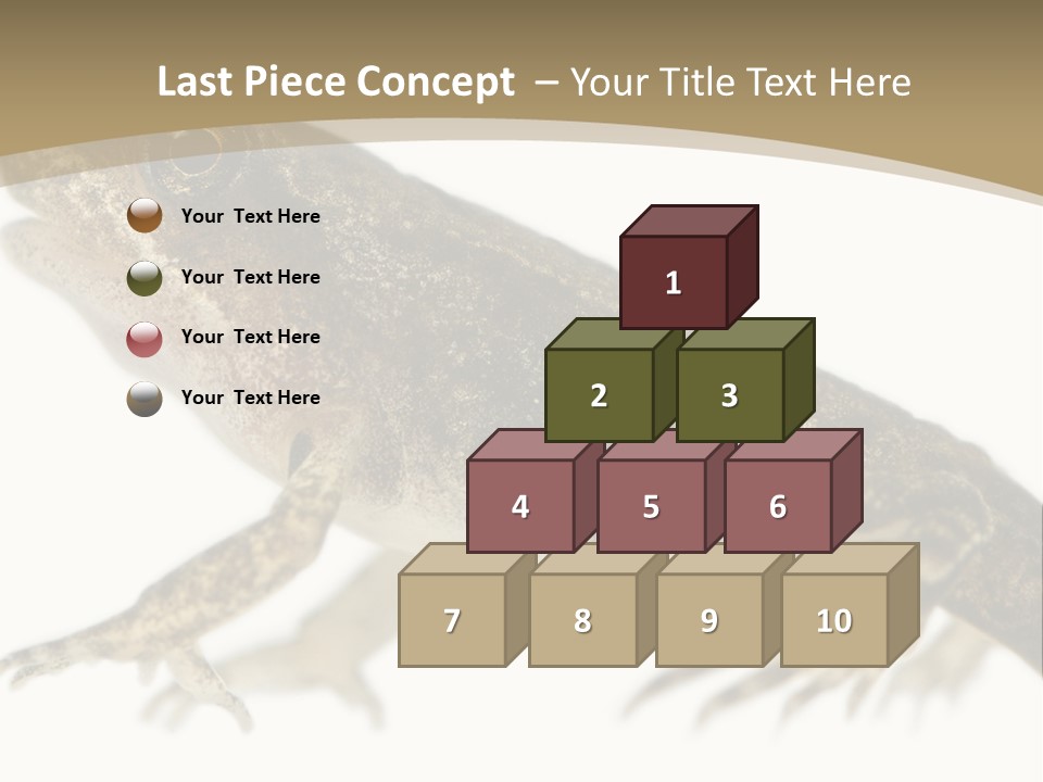 Creature White Background Amphibian PowerPoint Template