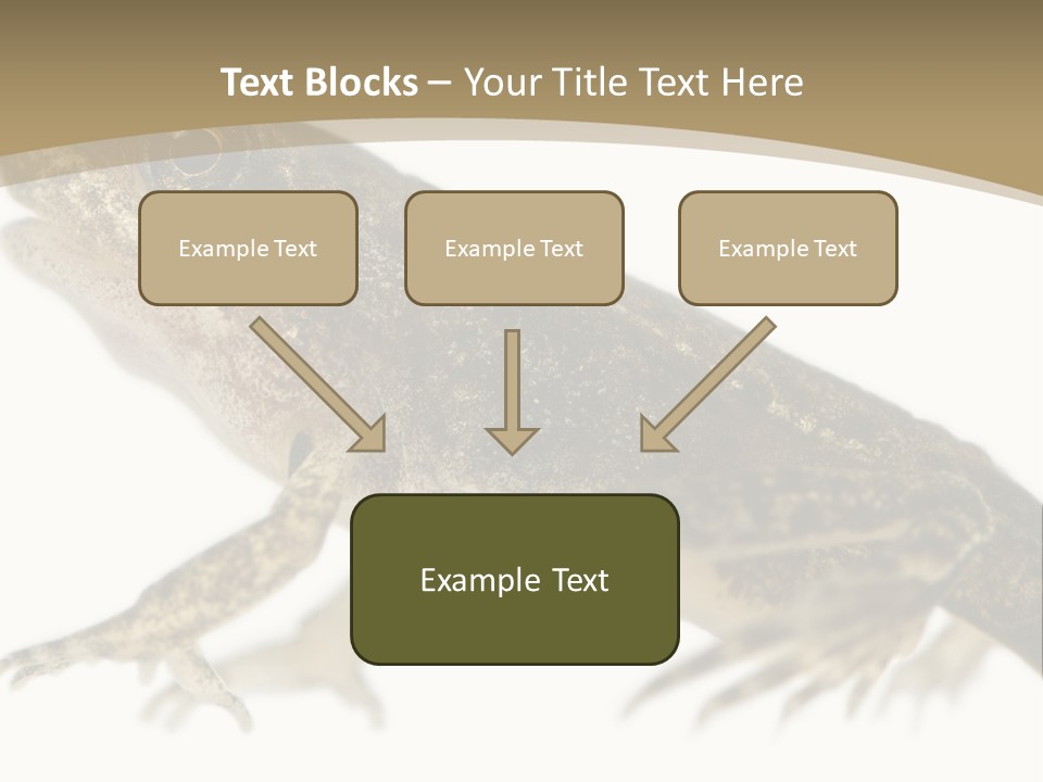 Creature White Background Amphibian PowerPoint Template