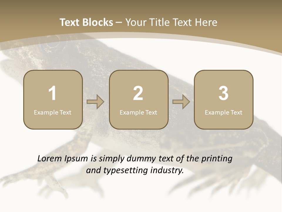 Creature White Background Amphibian PowerPoint Template