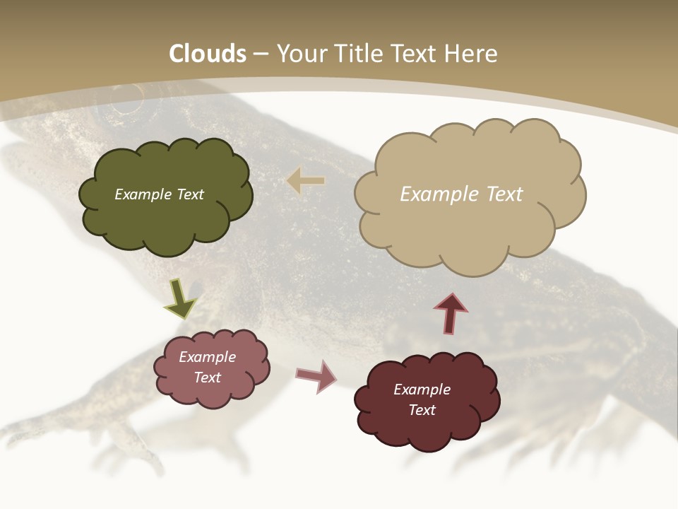 Creature White Background Amphibian PowerPoint Template