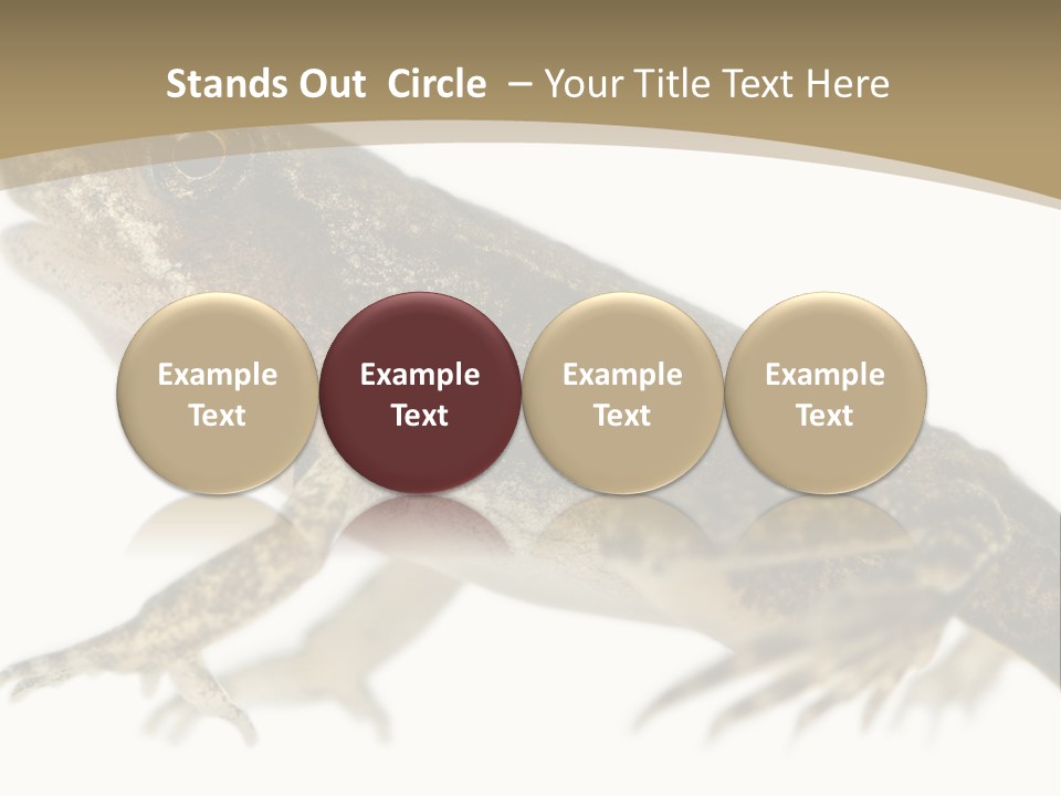 Creature White Background Amphibian PowerPoint Template