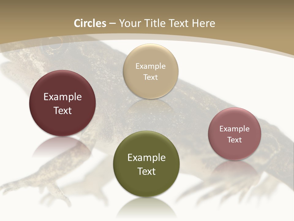 Creature White Background Amphibian PowerPoint Template