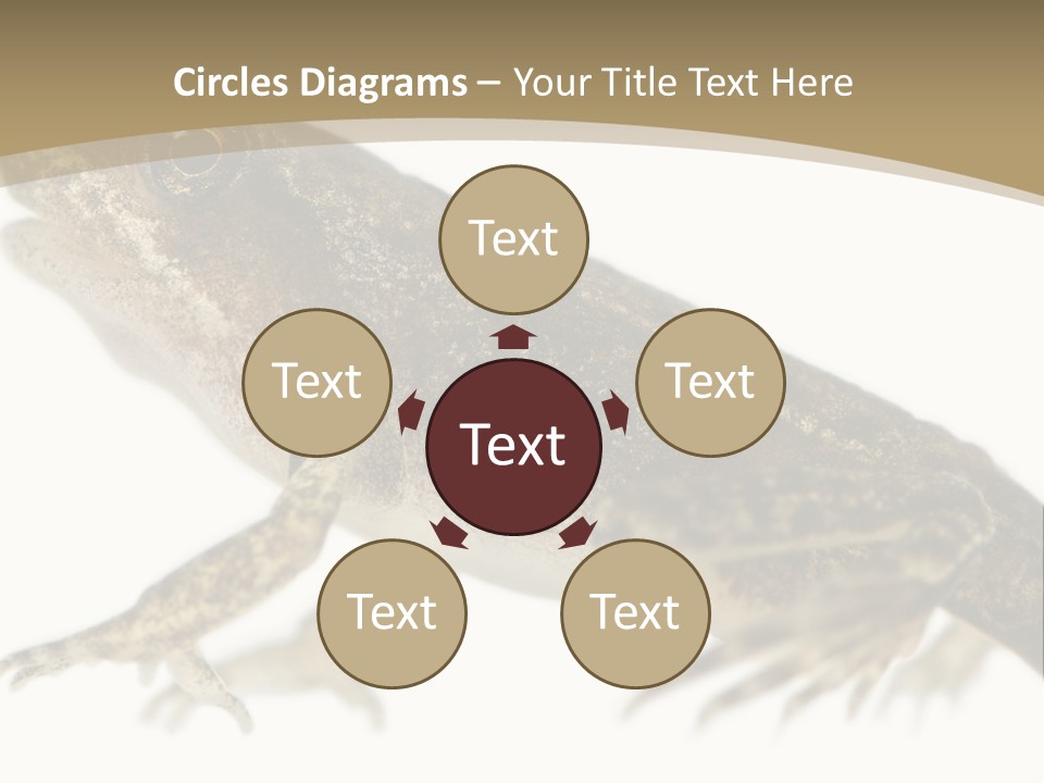 Creature White Background Amphibian PowerPoint Template