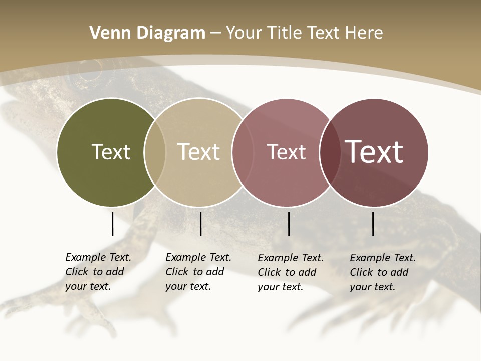 Creature White Background Amphibian PowerPoint Template