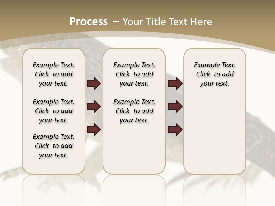 Creature White Background Amphibian PowerPoint Template