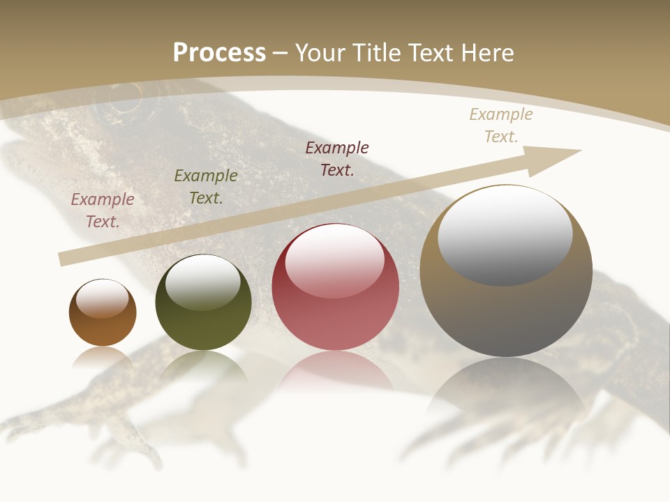 Creature White Background Amphibian PowerPoint Template