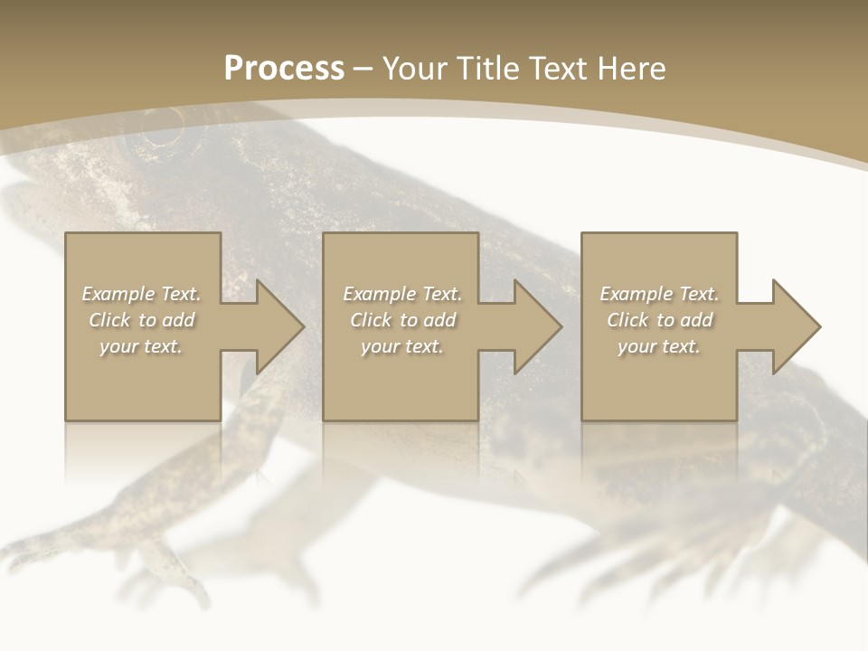 Creature White Background Amphibian PowerPoint Template