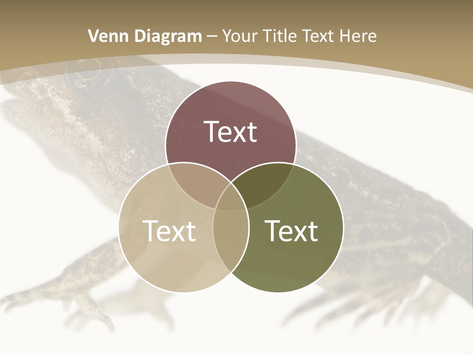 Creature White Background Amphibian PowerPoint Template